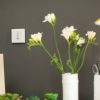 Somfy pultelis elektriniams roletams