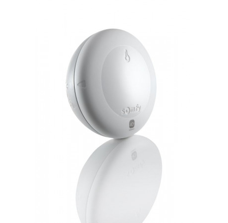 temperature sensor Lauresta