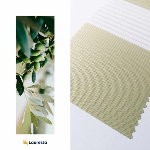 alyvine spalva Lauresta