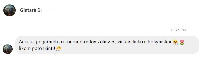 gintare atsiliepimas apie zaliuzes